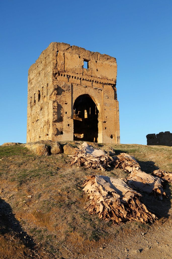 ONMT_FES_Mérinides